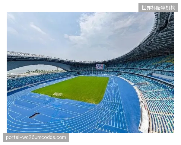 大型赛会的“窗口期建设”，是否反而加剧了体育设施长期的运营困境？